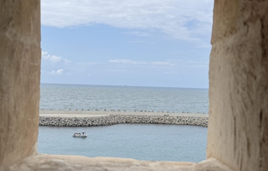 Alexandria Day Tour (Car + Guide + Ticket)