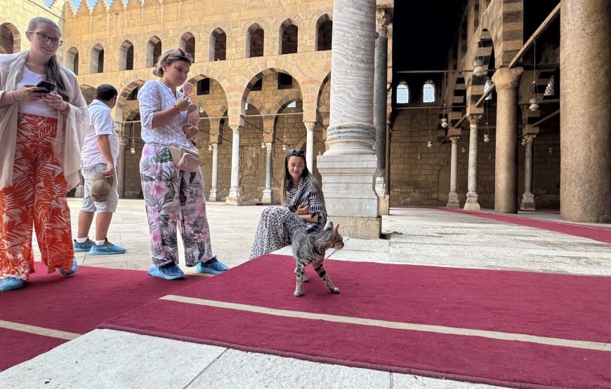 Citadel and old Cairo and National museum of Egyptian Civilization  (Car + Guide)