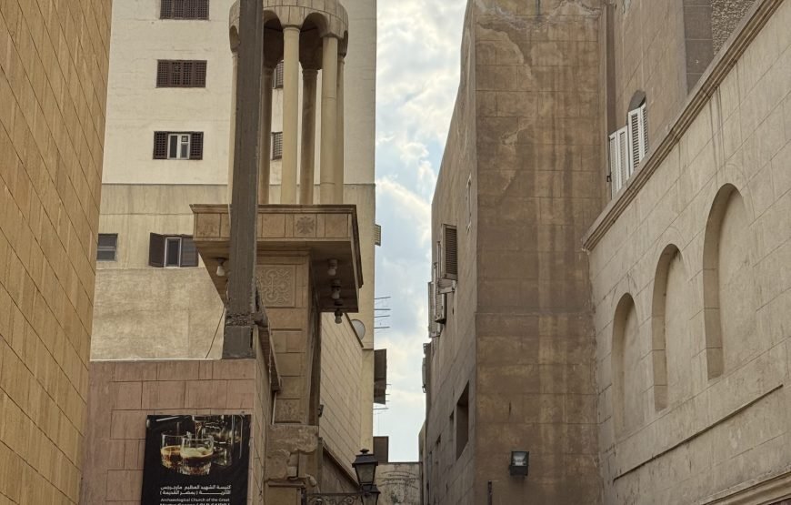 Egyptian Museum and Citadel and old Cairo (Car + Guide + lunch)