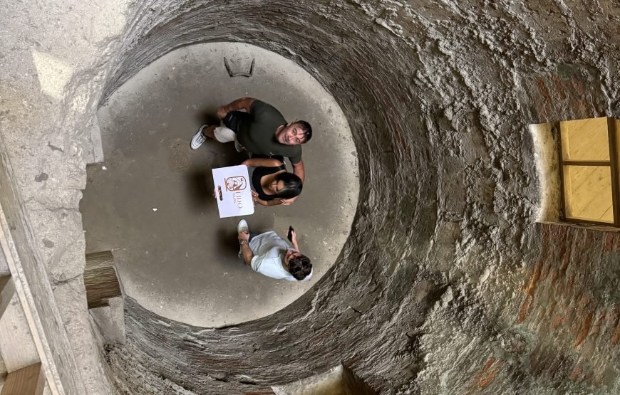 Alexandria Day Tour (Car + Guide)