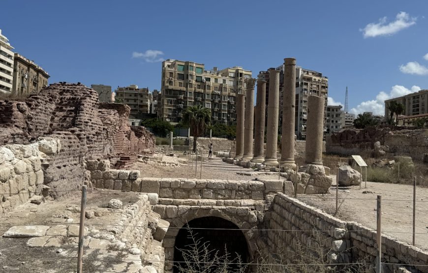 Alexandria Day Tour (Car + Guide)