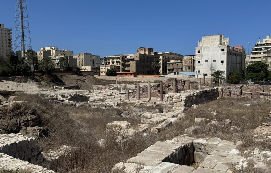 Alexandria Day Tour (Car + Guide)