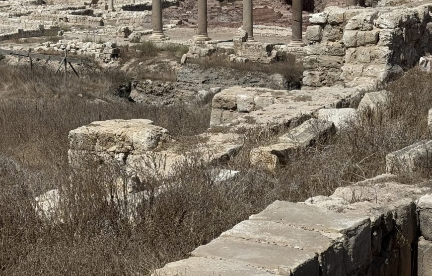 Alexandria Day Tour (Car + Guide + Ticket)