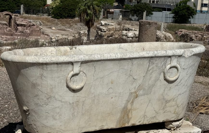 Alexandria Day Tour (Car + Guide + lunch)