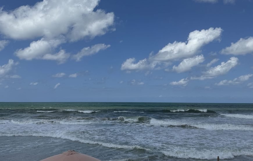 Alexandria Day Tour (Car + Guide + Ticket + Lunch)