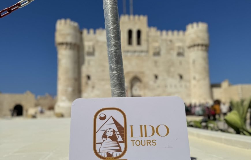 Alexandria Day Tour (Car + Guide)