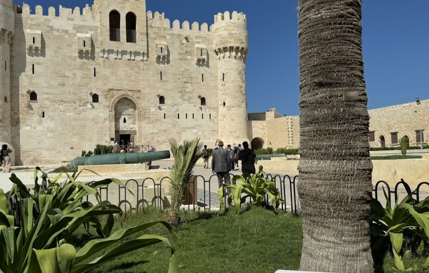 Alexandria Day Tour (Car + Guide + Ticket)
