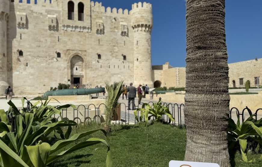 Alexandria Day Tour (Car + Guide)
