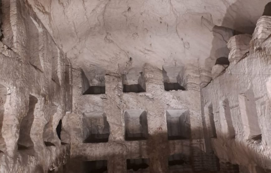 Alexandria Day Tour (Car + Guide + Ticket + Lunch)