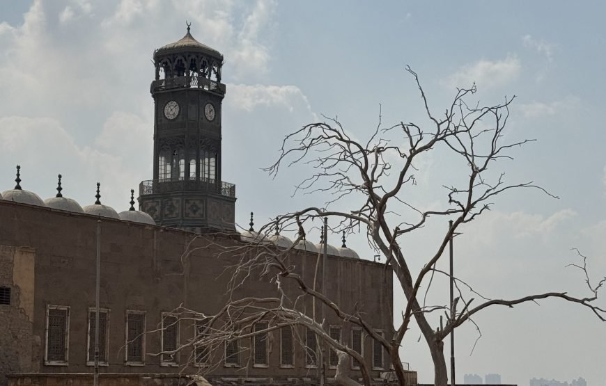Citadel and old Cairo and National museum of Egyptian Civilization  (Car + Guide + lunch)